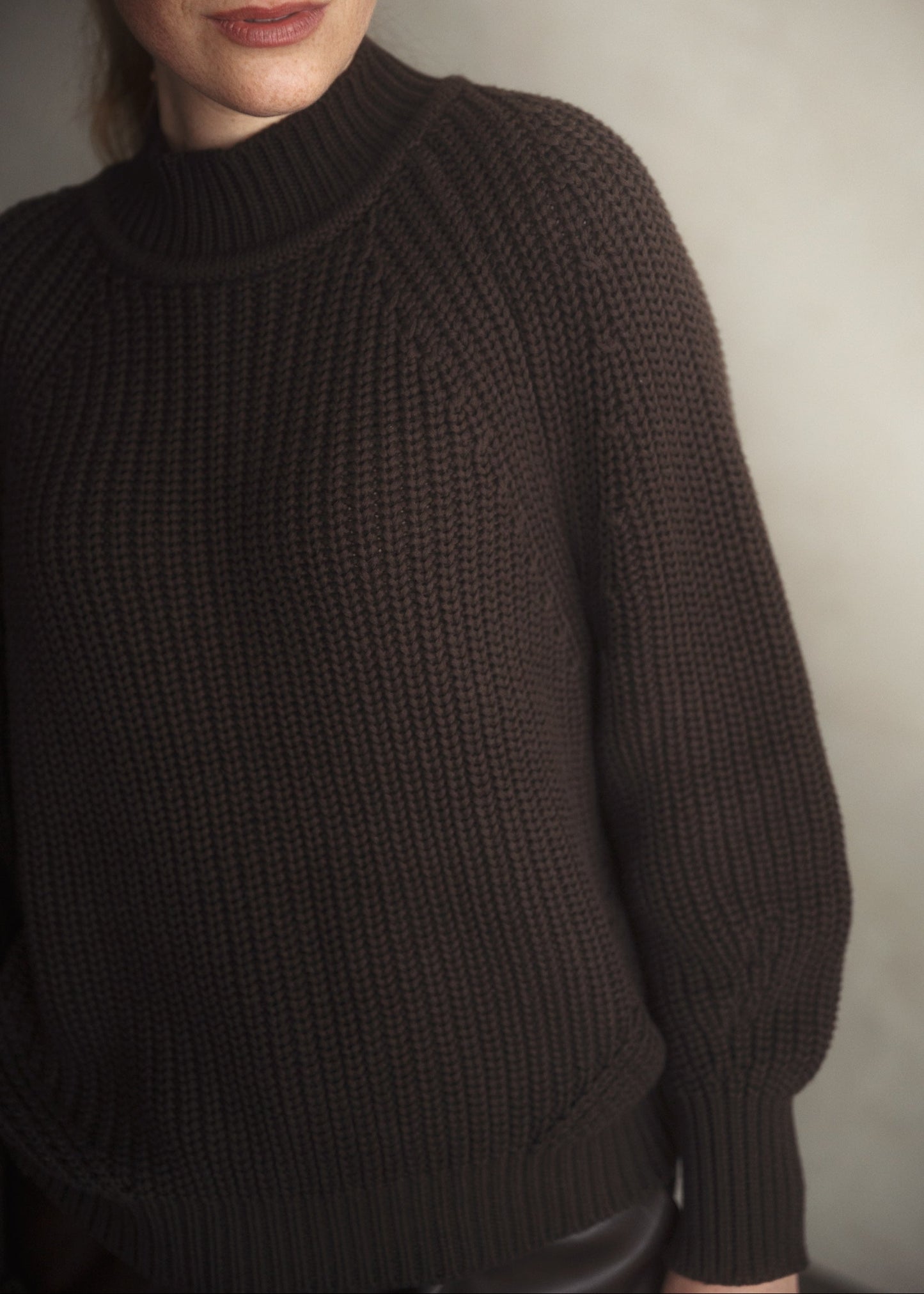 Emotion pullover brown