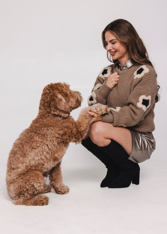 Accentil Rose Pullover - Taupe