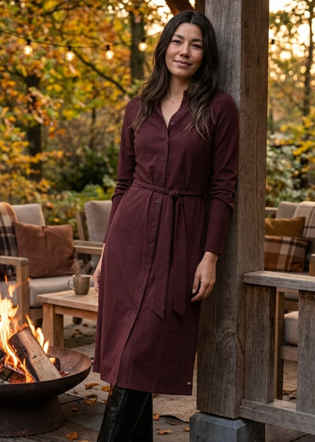 Lady Day – Danie Travel Dress – Wine